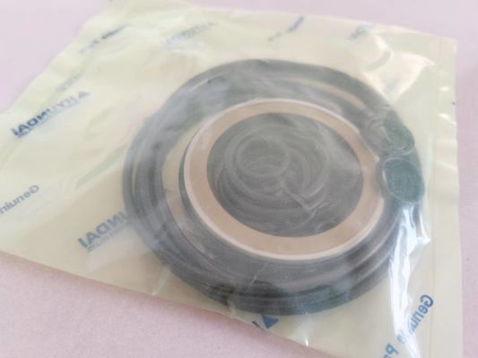 हाइड्रोलिक खुदाई सील किट अनुकूलित XKAY-00553 R210LC-7 R160LC-7